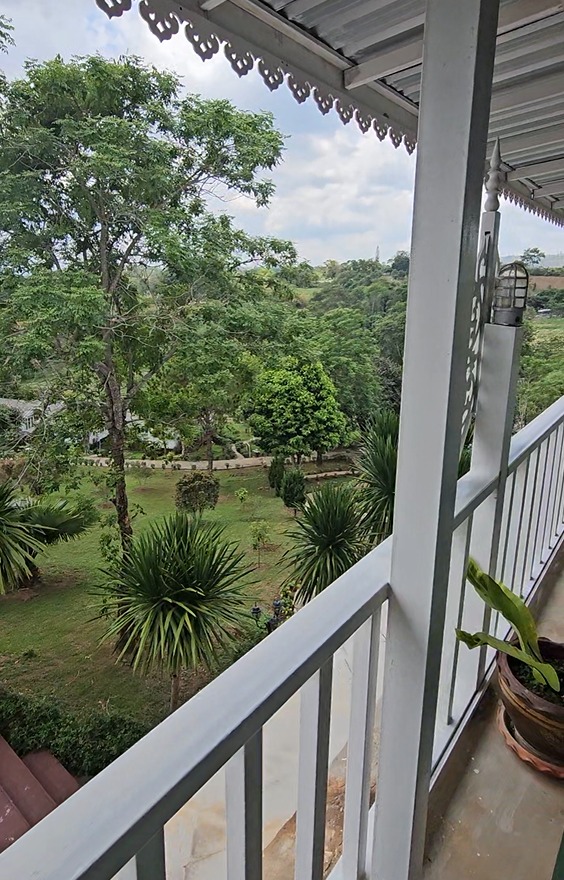 Balcony Garden Views