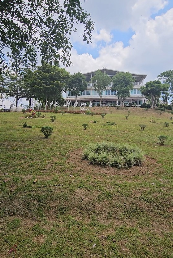 Therapeutic Garden Setting